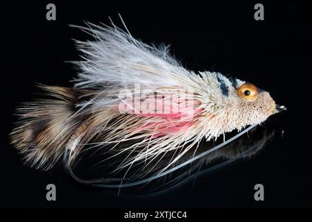 Leurre de pêche à la mouche fabriqué à partir de plumes sélectionnées coupées et attachées à un crochet en métal barbelé avec des yeux googly pour ressembler à un type de poisson mouche ou d'insecte aquatique Banque D'Images