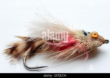 Leurre de pêche à la mouche fabriqué à partir de plumes sélectionnées coupées et attachées à un crochet en métal barbelé avec des yeux googly pour ressembler à un type de poisson mouche ou d'insecte aquatique Banque D'Images