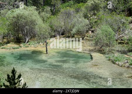 Source de la rivière Cuervo, affluent de la rivière Guadiela, bassin de la rivière Tajo. Vega del Codorno municipalité, province de Cuenca, Castilla-la Mancha, Espagne. Banque D'Images