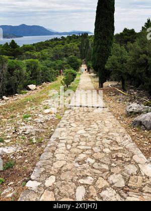 Le chemin du paradis sur l'île de Lokrum Dubrovnik Dalmatie Croatie Banque D'Images