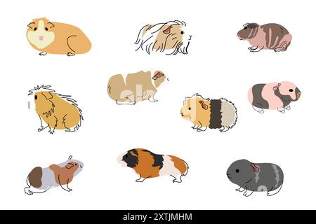 Une illustration vectorielle de jolies icônes pour animaux de compagnie de cochon de Guinée Illustration de Vecteur