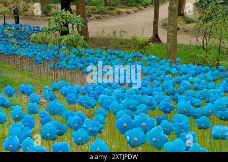 Sculptures en céramique de fleurs de coquelicot bleu vif formant une installation artistique de parc à couper le souffle, Himalayan Gardens, Ripon, North Yorkshire, Royaume-Uni. Banque D'Images