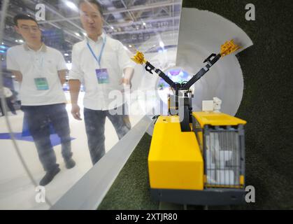 YANTAI, CHINE - 15 AOÛT 2024 - les visiteurs en apprennent plus sur les robots spéciaux de l'énergie nucléaire au salon Yantai International Nuclear Power Industry and Equipm 2024 Banque D'Images