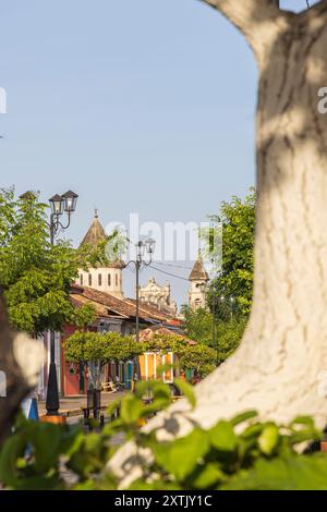 Grenade, Nicaragua - 20 mars 2024 : Callle la Calzada avec regard à travers l'arbre à la cathédrale notre-Dame de l'Assomption à Grenade sur les rives du lac Nicaragua Cocibolca au Nicaragua Amérique centrale Banque D'Images