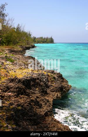 Vue côtière, péninsule de Zapata, Baie des cochons, Cuba, Caraïbes. Banque D'Images