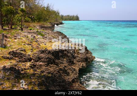 Vue côtière, péninsule de Zapata, Baie des cochons, Cuba, Caraïbes. Banque D'Images