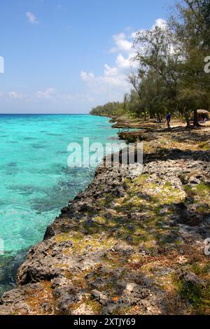 Vue côtière, péninsule de Zapata, Baie des cochons, Cuba, Caraïbes. Banque D'Images