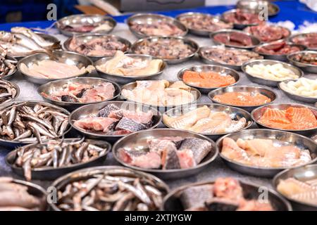 Différents types de mer dans de petits bols, étal de marché à Rotterdam. Différents types de mers comme la morue, les sprats, le saumon, offerts au marché de Rotterdam, pays-Bas. Fruits de mer, sains, marchand, pour la cuisine ou la friture, poisson de la mer, étal de marché. pays-bas rotterdam Weekly Market B97A6364 Banque D'Images