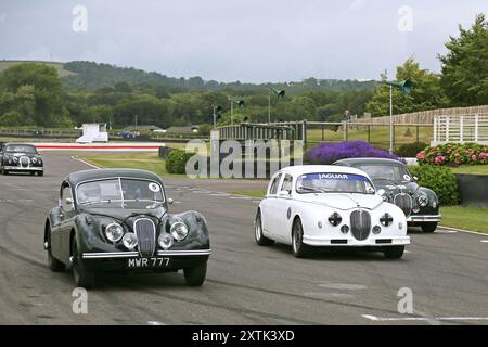 Jaguar XK120 3,4 (1953), Jaguar Mk1 3,8 (1955-1959) et Jaguar Mk1 3,4 (1958), Mike Hawthorn Track Day, Goodwood, Sussex, Angleterre, Royaume-Uni, Europe Banque D'Images