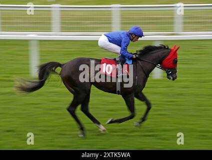 Photo du dossier datée du 25-07-2024 de la Cour de décision. Un affrontement entre les 2000 Guinées de l’année prochaine et les favoris de Derby semble être sur les cartes dans les Tattersalls Acomb Stakes à York la semaine prochaine, avec à la fois Judgment court et The Lion in Winter inscrits pour le groupe trois. Date d'émission : jeudi 15 août 2024. Banque D'Images