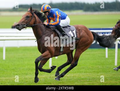 Photo du dossier datée du 20-07-2024 du Lion en hiver. Un affrontement entre les 2000 Guinées de l’année prochaine et les favoris de Derby semble être sur les cartes dans les Tattersalls Acomb Stakes à York la semaine prochaine, avec à la fois Judgment court et The Lion in Winter inscrits pour le groupe trois. Date d'émission : jeudi 15 août 2024. Banque D'Images
