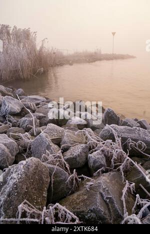 Rochers gelés sur les rives de la rivière Boven Merwede près du village hollandais Boven-Hardinxveld Banque D'Images