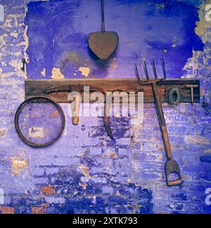 Vieux outils d'horticulture de jardin dans le jardin de briques outthouse rustique outils de jardinage traditionnels sur le mur de briques bleues peeling peint dans le vieux hangar de magasin de jardin Banque D'Images