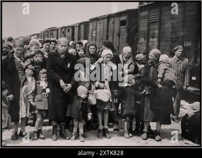 AUSCHWITZ ARRIVÉES PAR DES CAMIONS FERROVIAIRES femmes et enfants juifs de Rus subcarpathique, attendent la sélection par les gardes SS de la Waffen pour la vie ou la mort sur la rampe d'Auschwitz Birkenau. Photographe Bernhardt Walter/Ernst Hofmann date mai 1944 Auschwitz, [haute-Silésie] Pologne Banque D'Images