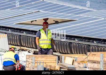 Neuendorf, Allemagne. 15 août 2024. Un ouvrier de Pfalzsolar balance sur sa tête un module solaire pour le système photovoltaïque flottant sur la mer Baltique de Cottbus. Une fois terminé, il couvrira 18 hectares du lac (environ un pour cent) avec 51 000 modules solaires. En moyenne, le système peut générer 290000 mégawattheures d'énergie par an. Les corps flottants avec les modules solaires attachés à eux sont reliés au fond du lac par 34 points d'ancrage de sorte que les fluctuations des niveaux d'eau peuvent être compensées. Crédit : Frank Hammerschmidt/dpa/Alamy Live News Banque D'Images