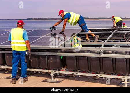 Neuendorf, Allemagne. 15 août 2024. Les travailleurs de Pfalzsolar installent des modules solaires pour le système photovoltaïque flottant sur la mer Baltique de Cottbus. Une fois terminé, il couvrira 18 hectares du lac (environ un pour cent) avec 51 000 modules solaires. En moyenne, le système peut générer 290000 mégawattheures d'énergie par an. Les corps flottants avec les modules solaires attachés à eux sont reliés au lit du lac par 34 points d'ancrage de sorte que les fluctuations des niveaux d'eau peuvent être compensées. Crédit : Frank Hammerschmidt/dpa/Alamy Live News Banque D'Images