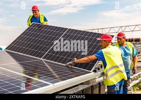 Neuendorf, Allemagne. 15 août 2024. Les travailleurs de Pfalzsolar installent des modules solaires pour le système photovoltaïque flottant sur la mer Baltique de Cottbus. Une fois terminé, il couvrira 18 hectares du lac (environ un pour cent) avec 51 000 modules solaires. En moyenne, le système peut générer 290000 mégawattheures d'énergie par an. Les corps flottants avec les modules solaires attachés à eux sont reliés au lit du lac par 34 points d'ancrage de sorte que les fluctuations des niveaux d'eau peuvent être compensées. Crédit : Frank Hammerschmidt/dpa/Alamy Live News Banque D'Images