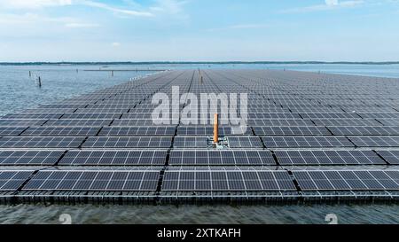 Neuendorf, Allemagne. 15 août 2024. Des modules solaires pour le système photovoltaïque flottant sont en cours d’installation sur la mer Baltique de Cottbus, qui couvrira 18 hectares de la surface du lac (environ un pour cent) avec 51 000 modules solaires une fois achevés. En moyenne, le système peut générer 290000 mégawattheures d'énergie par an. Les corps flottants avec les modules solaires attachés à eux sont reliés au lit du lac par 34 points d'ancrage de sorte que les fluctuations des niveaux d'eau peuvent être compensées. Crédit : Frank Hammerschmidt/dpa/Alamy Live News Banque D'Images