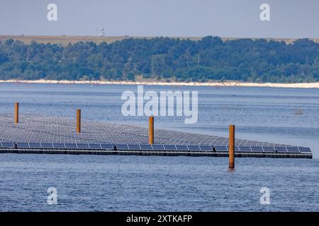 Neuendorf, Allemagne. 15 août 2024. Des modules solaires pour le système photovoltaïque flottant sont en cours d’installation sur la mer Baltique de Cottbus, qui couvrira 18 hectares de la surface du lac (environ un pour cent) avec 51 000 modules solaires une fois achevés. En moyenne, le système peut générer 290000 mégawattheures d'énergie par an. Les corps flottants avec les modules solaires attachés à eux sont reliés au lit du lac par 34 points d'ancrage de sorte que les fluctuations des niveaux d'eau peuvent être compensées. Crédit : Frank Hammerschmidt/dpa/Alamy Live News Banque D'Images