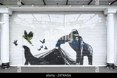 La pièce finale, de la série animaux de Banksy a été dévoilée tôt mardi 13 août dans la matinée, au zoo de Londres , représente un gorille soulevant une porte tandis que divers animaux, y compris un lion de mer et un trio d'yeux curieux, sont vus dans le fond. Il a attiré beaucoup de visiteurs et l'attention des médias. Les passants ont été ravis par une nouvelle addition surprise. Banque D'Images