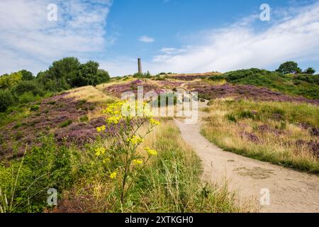 Chemin à travers la réserve naturelle locale de Troopers Hill Park jusqu'à l'ancienne cheminée. St George, Bristol, Avon, Angleterre, Royaume-Uni, Grande-Bretagne Banque D'Images