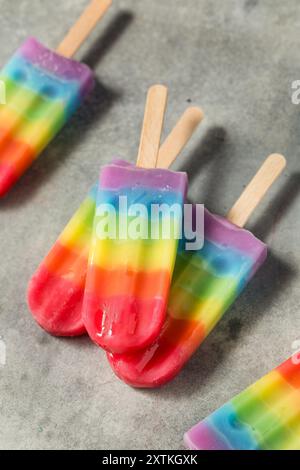 Sweet Summer Rainbow Popsicles avec différentes saveurs de fruits, reposant sur un fond de table gris Banque D'Images