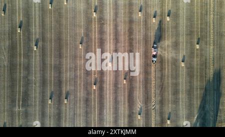 Prises de vue par drone ou images aériennes de foin en train de naître sur des terres agricoles dans la campagne du Norfolk, près du parc national Broads, Ludham Norfolk. Banque D'Images