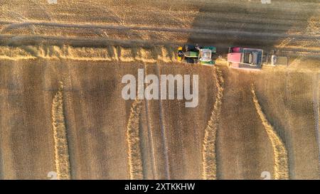 Prises de vue par drone ou images aériennes de foin en train de naître sur des terres agricoles dans la campagne du Norfolk, près du parc national Broads, Ludham Norfolk. Banque D'Images