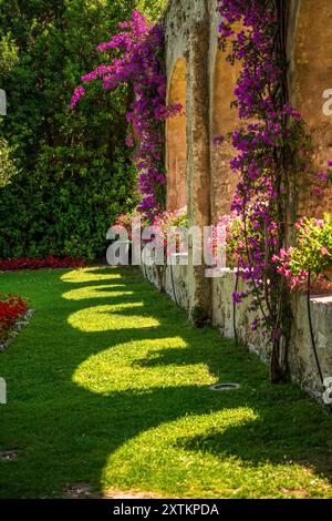 Un sentier de jardin serein dans une cour historique, bordée de fleurs roses et violettes vibrantes grimpant le long de murs de pierre vieillie. La pelouse verte luxuriante et le Banque D'Images
