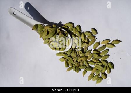 Gousses de cardamome, épices aromatiques utilisées dans les plats culinaires et les boissons, isolées sur fond blanc, épices indiennes Banque D'Images