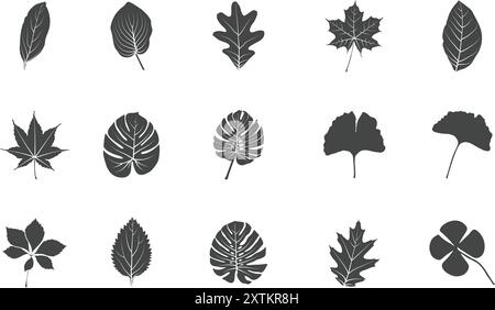 Silhouettes de feuilles, silhouette de feuilles, feuille, feuilles, branches illustration vectorielle, clipart de feuille, logo de feuilles, ensemble d'icônes de feuille, illustration vectorielle de feuille Illustration de Vecteur