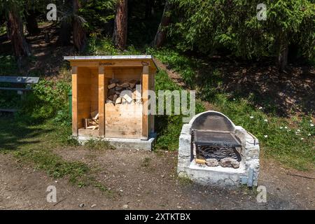 Un abri en bois étiqueté 'Schatzalp' et une cheminée en pierre se dressent côte à côte le long du Wasserfallweg au-dessus de la Schatzalp, Davos, Grisons, Suisse. L'abri est rempli de bois de chauffage pour la cheminée. Banque D'Images