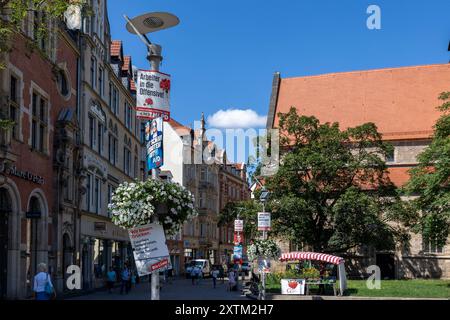 Landtagswahlkampf in Thüringen in Erfurts Fußgängerzone sind zahlreiche Wahlplakate an den Laternenmasten angebracht. Die Plakate verschiedener Parteien und Kandidaten prägen das Stadtbild und machen die politische Werbung im Herzen der Stadt sichtbar. Erfurt Altstadt Thüringen Deutschland *** campagne électorale d'Etat en Thuringe de nombreuses affiches électorales sont affichées sur les lampadaires de la zone piétonne d'Erfurts les affiches de divers partis et candidats caractérisent le paysage urbain et rendent visible la publicité politique au cœur de la ville Erfurt vieille ville Thuringe Allemagne 20240815-6V2 Banque D'Images