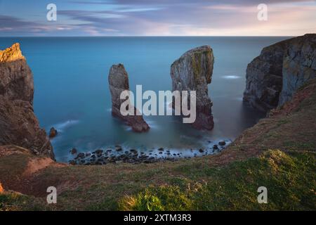 Elegug SEA stacks sur la côte du Pembrokeshire au pays de Galles au Royaume-Uni Banque D'Images