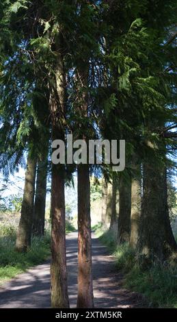 Beecraigs Country Park, Linlithgow Banque D'Images