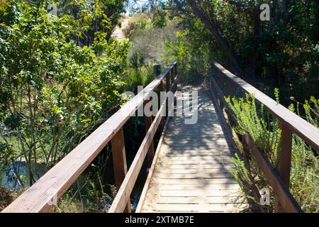 pont en bois pour la randonnée dans le parc Banque D'Images