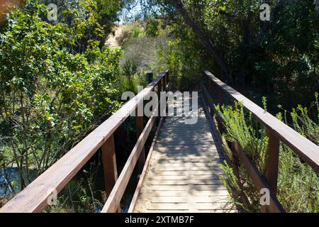 pont en bois pour la randonnée dans le parc Banque D'Images