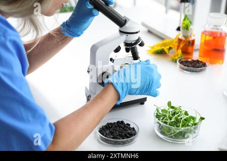 Femme scientifique avec microscope examinant les germes et les graines de tournesol en laboratoire, gros plan Banque D'Images