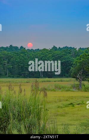 Newbury Massachusetts Salt Marsh été coucher de soleil vertical Banque D'Images