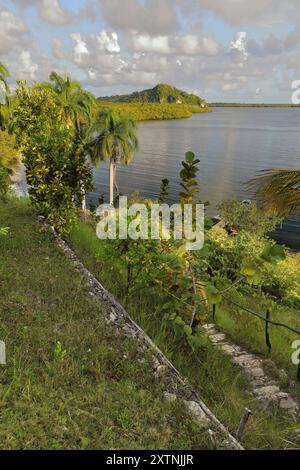 603 sentier pédestre descendant à l'embarcadère pour les bateaux à rames touristiques naviguant le long de Bahia Taco Bay, Alexander von Humboldt Park, tôt le matin. Baracoa-Cuba. Banque D'Images