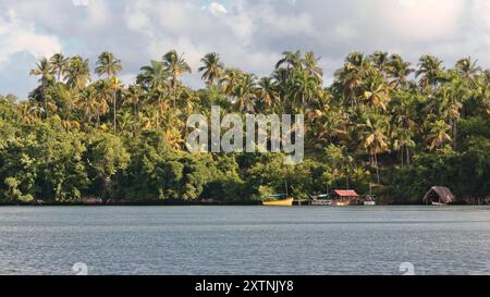 608 rive nord-est Bahia Taco Bay hébergeant atarazanas -hangars d'origine indigène- protégeant leurs cayucas -bateaux rustiques- des intempéries. Baracoa-Cuba Banque D'Images