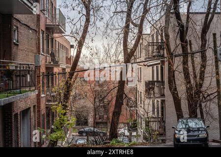 Photo d'un quartier résidentiel nord-américain typique, en Côte des Neiges, Centre-ville de Montréal, Québec, Canada, pendant un après-midi nuageux. fait de petit Banque D'Images