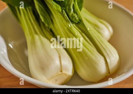 3 bok choy cru entiers dans un bol. Ils peuvent également être appelés pok choy ou pak choy dans différentes régions anglophones. Banque D'Images