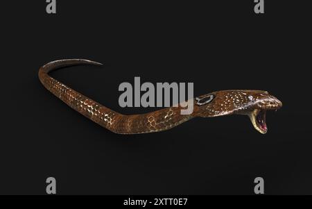 Illustration 3d King Cobra le plus long serpent venimeux du monde isolé sur fond noir, King Cobra Snake avec Clipping Path. Banque D'Images