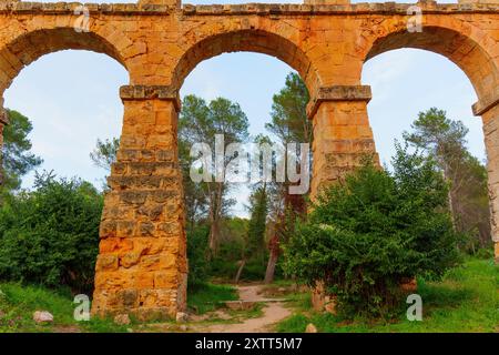 Vue détaillée des arches du célèbre aqueduc du pont du Diable à Tarragone entouré d'une végétation luxuriante. Banque D'Images