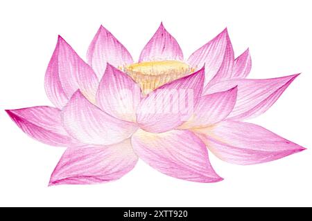 Fleurs de Lotus, feuilles, graines. Illustration à l'aquarelle dessinée à la main du nénuphar rose, des feuilles vertes et des graines. Dessin botanique. Set avec lotus pour la conception Banque D'Images