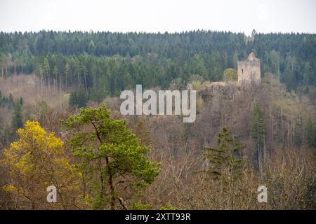 Une ruine de château lointaine s'élève au-dessus de la ligne des arbres d'une forêt, vue depuis une colline près de Stiegelesfels. Banque D'Images