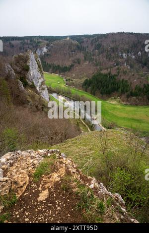 Stiegelesfels-Oberes Donautal, district de Tuttlingen, Bade-Württemberg , Allemagne Banque D'Images