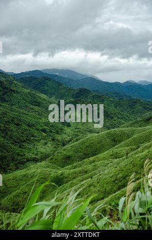 vue sur la montagne verte dans la journée nuageuse Banque D'Images