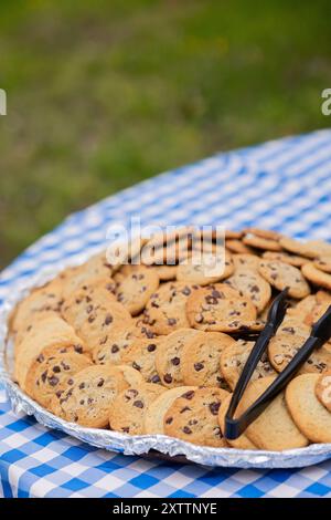 biscuits aux pépites de chocolat sur une nappe vichy bleue lors d'un événement en plein air Banque D'Images